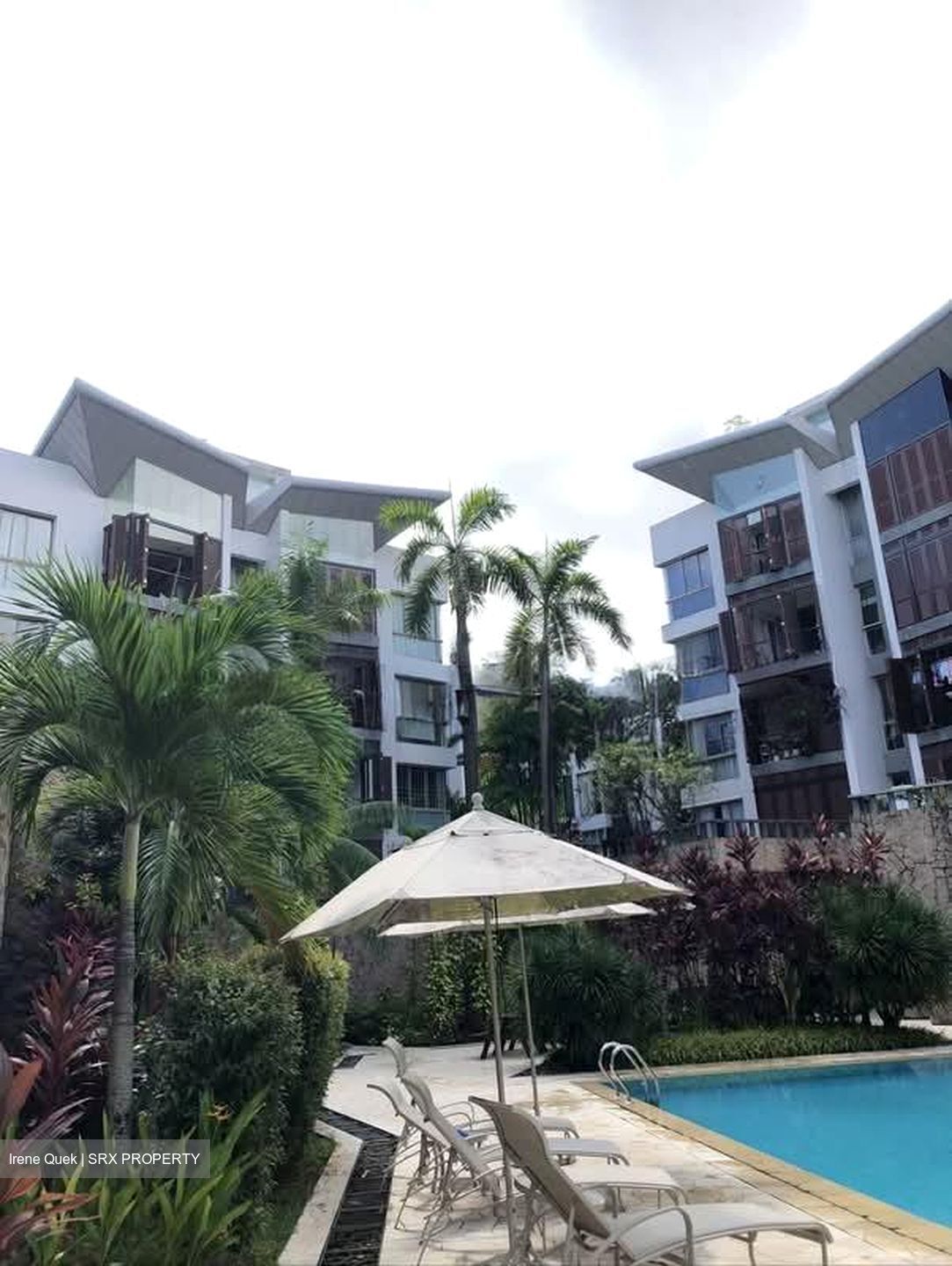Palm Grove Condominium (D19), Condominium #558913981
